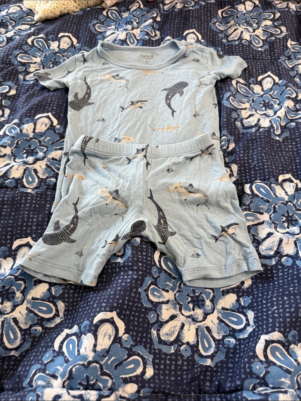 Kyte BABY Light Blue Shark Short Sleeve Pajama Set